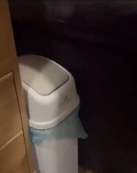 Внезапный котик. #Коты @NSDVKhersone ПОДПИСАТЬСЯ