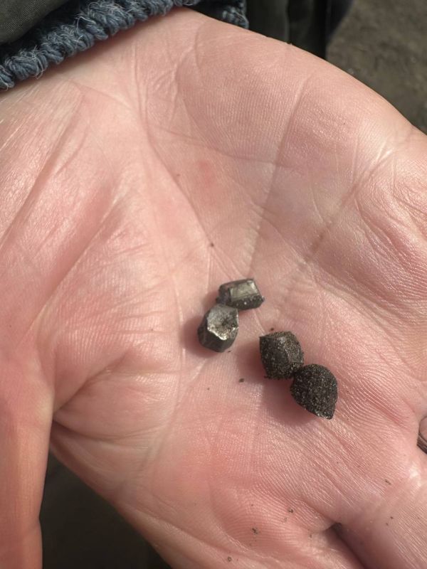 ������ �������: ���� ����� �� ����� 627 ������ �� ������������ ������ �� 7 �����