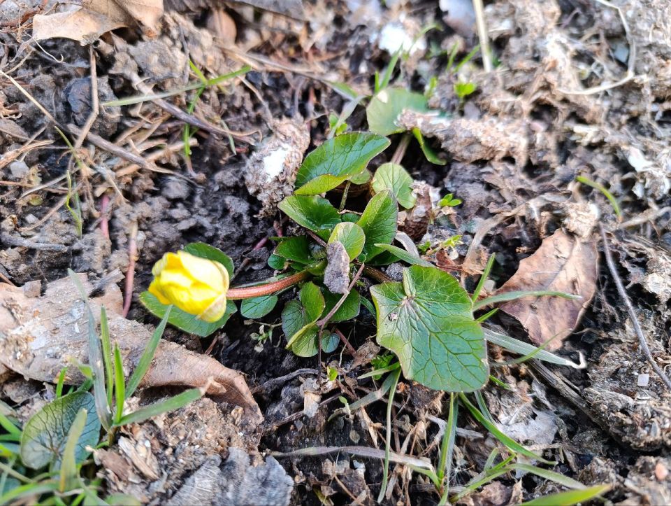 ������ ����, ������ ���������� ������!