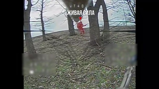 ������������ ��������. ��������-����� ���������� �������