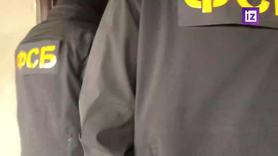 Сотрудники ФСБ задержали по подозрению в госизмене 18-летнюю жительницу ДНР — ФСБ