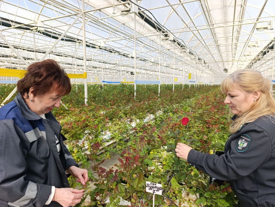 Россельхознадзор в преддверии 8 Марта проверил цветочные магазины Скадовска