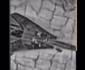 ��� ���������� ��� 42 ������� ����� � ���� �������� ������ ����� � �����