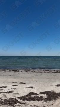 ���� � �������� �������� �� ������