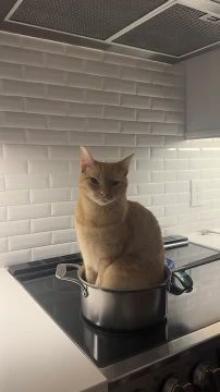 ����� ������ � ��������� �� ��������