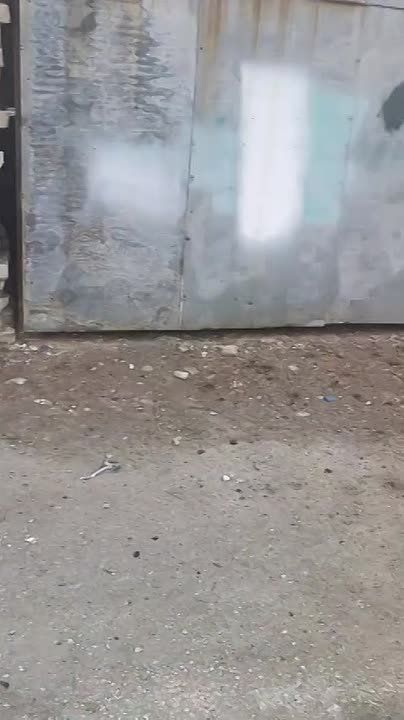 ����� ��������: �����������. ������ ������ �� ������ ������������� �������