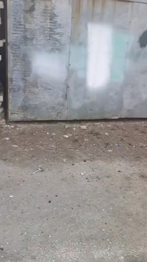 ����� ��������: �����������. ������ ������ �� ������ ������������� �������