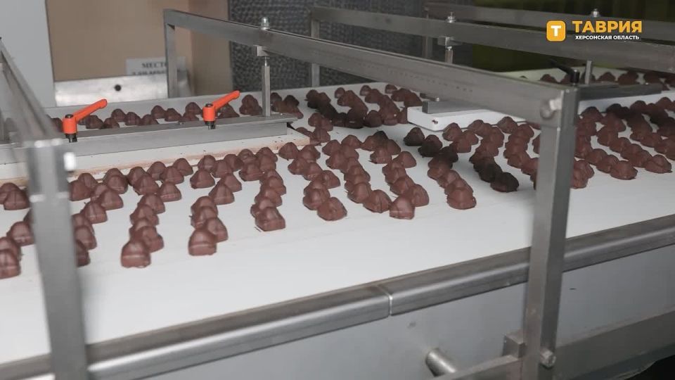 Донецкая кондитерская фабрика получила новые возможности для развития после вхождения ДНР в состав России, отметил Александр Раковский