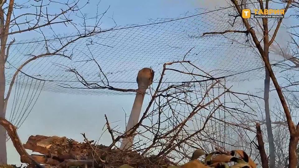 Артиллеристы 49-й общевойсковой армии уничтожили пункт временной дислокации ВСУ на правом берегу Днепра