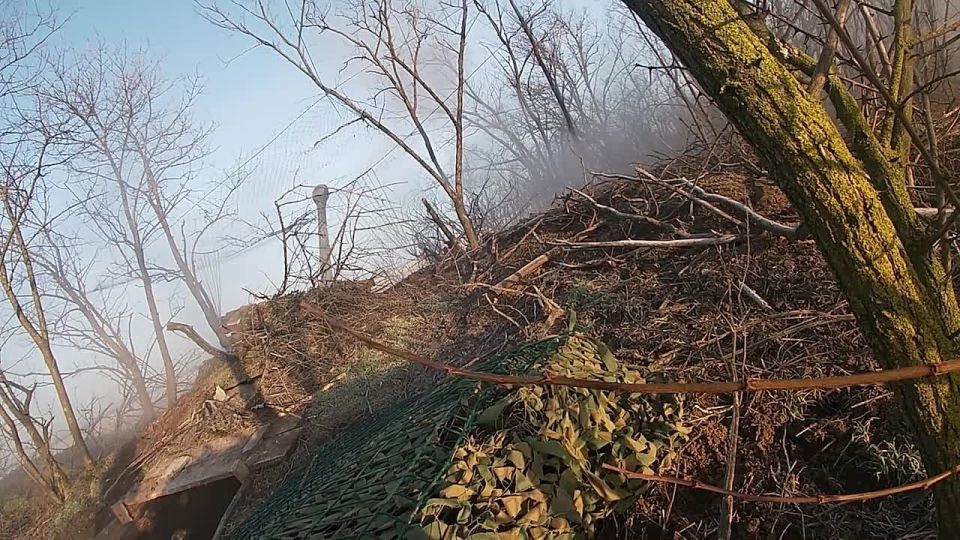 �������� ������: ������ ������� �����-�� ��������� ����� ��������� ���������� ��� �� ������ ������ ������