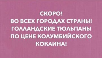 ������� ��� �����? ��������� � �������� � ��������� � �������� �� ��������