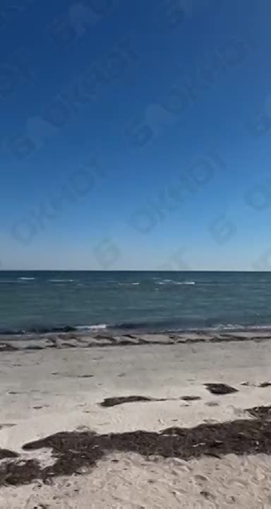 �������� �������������: ���� �������� �� ������!