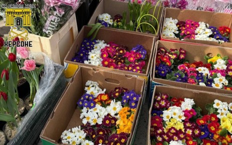 ������� ������ ��������� 8 �����