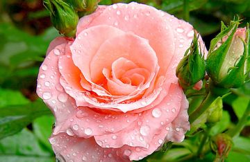 � ������������� ������� ���� 8 �����!