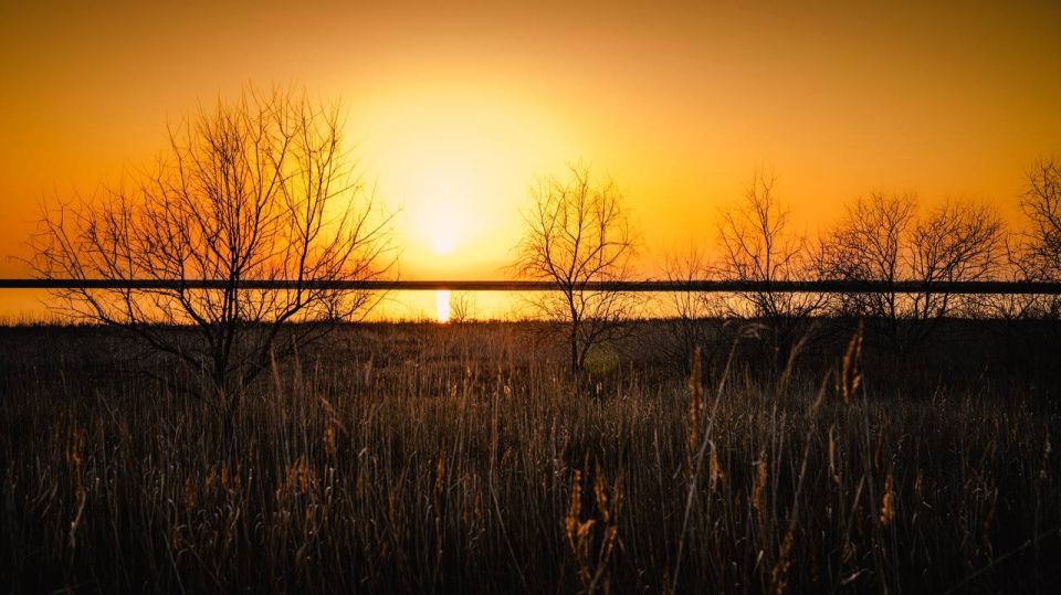 ������ ����, ����������!. ��������� ������� ����