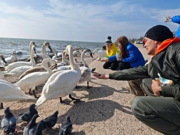 ���������� ����������� ��������������� ��������� ������� �������� ������� ��� ���������� �������� ������ � "�������"