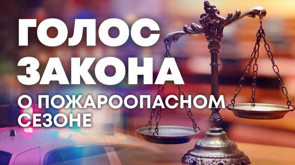 О подготовке к пожароопасному сезону — в программе "Голос закона"