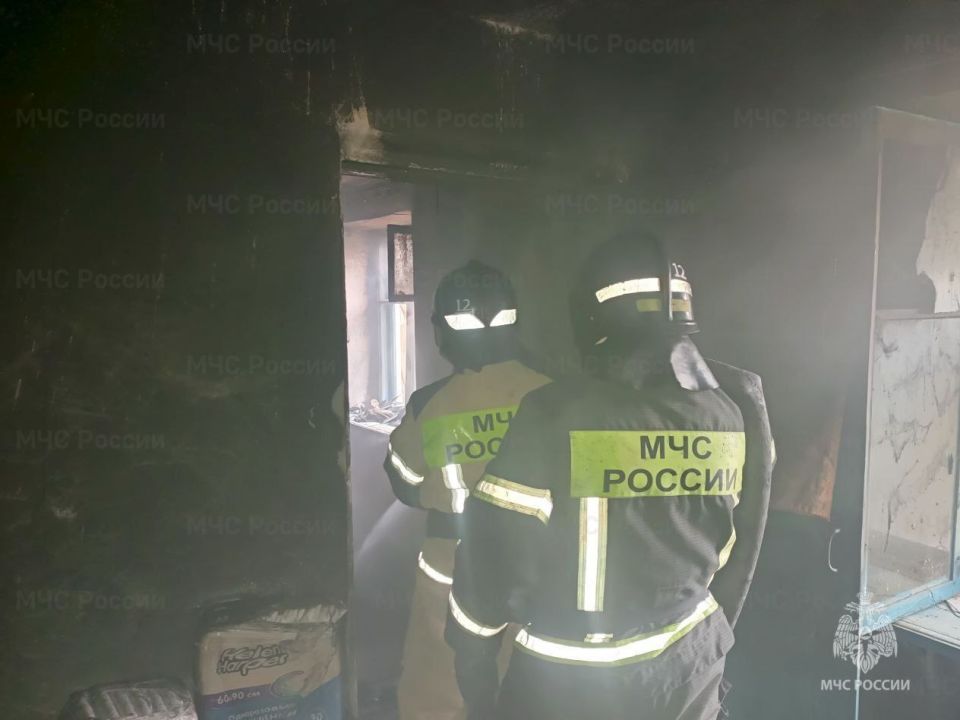 За минувшие сутки в Херсонской области было ликвидировано два техногенных и два ландшафтных пожара