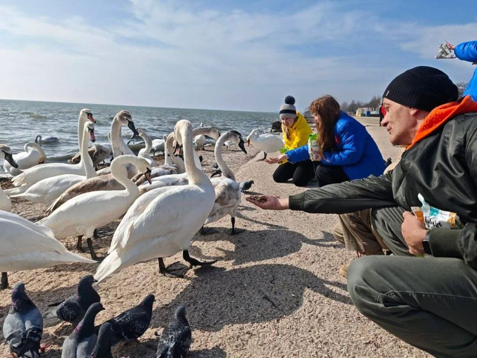 ����������� ����������� ��������������� ��������� ������� ������� �� ���������