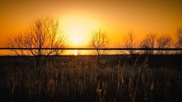 ������ ����, ����������!. ��������� ������� ����