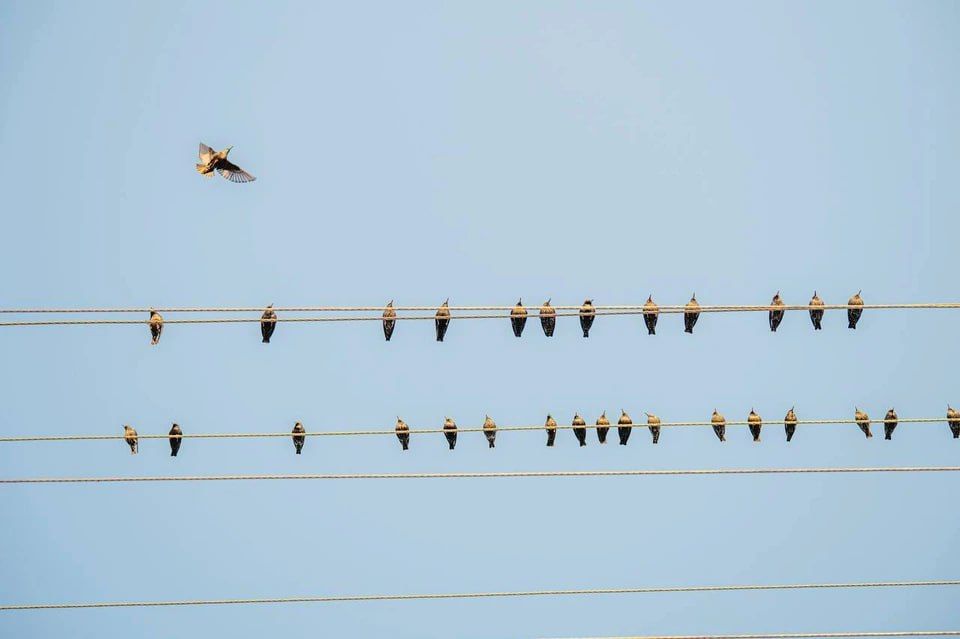 В Херсонской области +15 градусов и отсутствие осадков 10 марта