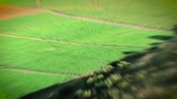 ����� IV �������������� �������� ����������� ������������� ��ۻ