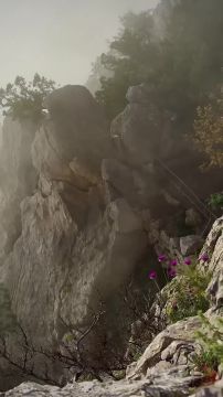 � ����� ����� � ����� ����� �������, ��� ������� ��� �������� �����, � ������ �������� ��� ������, �������� ����� ���������� �������� ���� � ����, ��� ���� ��� ������������� ��������