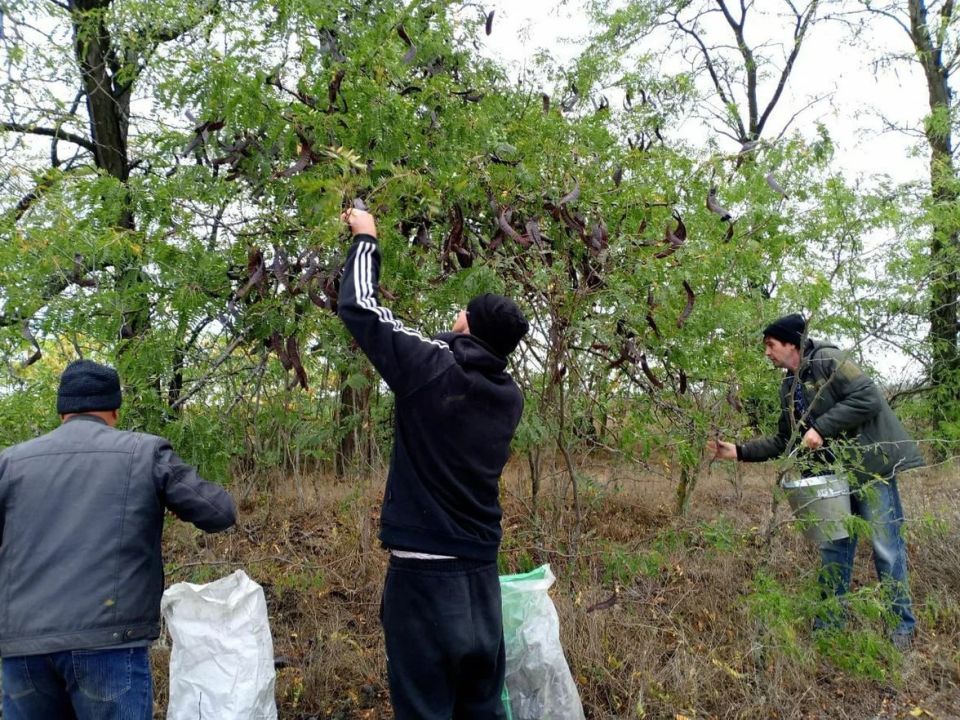 ���������� ������ ������ 80 �� ����� �������� ��� ������������������ �������