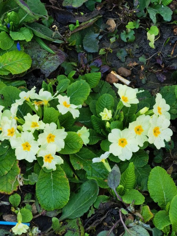 ������� ����� � �����.... ���� ��������� ��� � ��������� ����������