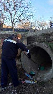 ������������ �������-������������ ����������� ������� ������� � ������� �������