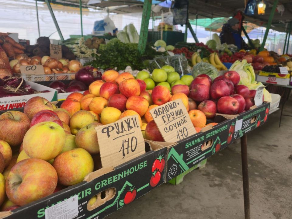 ���� �� ����� � ������ � ���������� ������� �������� ������������ �������� ���������, ������� � ������������