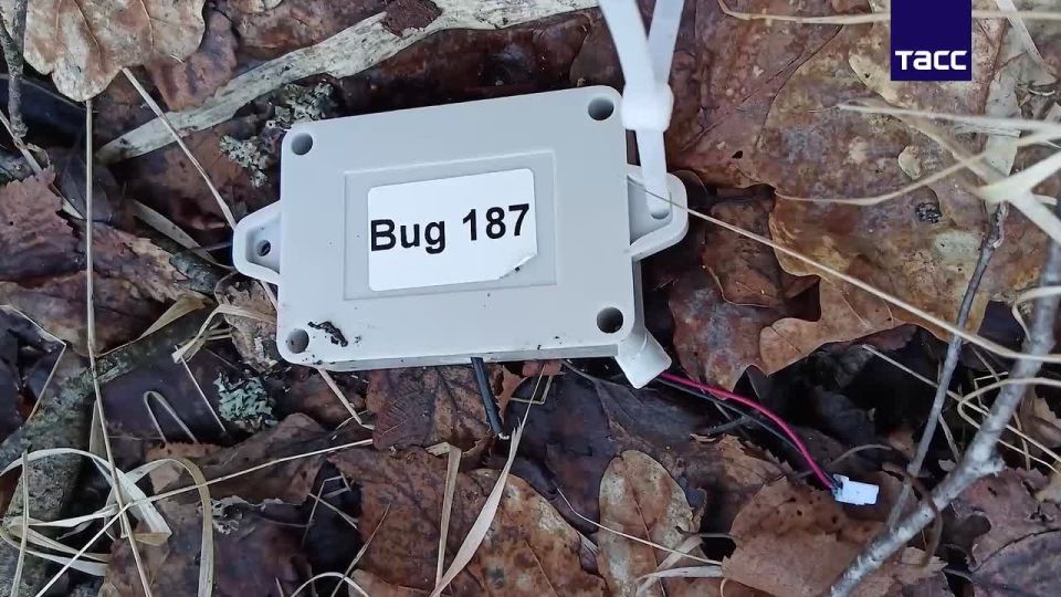 ��� ���������� �������� 35-������ ������ ������������ ������� �� �������� �������� ������� � ����������, ������������� �� ������������, ���������� �������� � � ������, �������� � ��� ��� ������