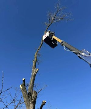 ��������� ������� �������������� ���� �������� � ������������ ������