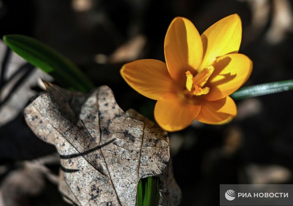 Погода на новых территориях России