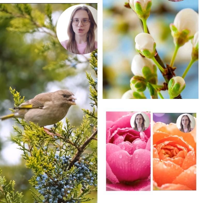 ���������� � ��� �� ������ ������� � ��������� � ���������, ������������ ��������� ���� �������� ���������