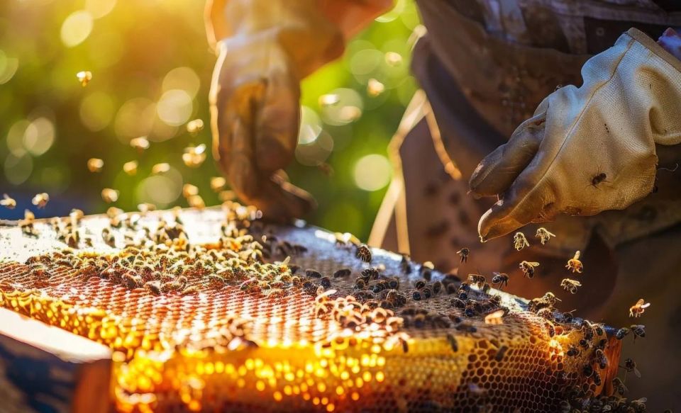 ������������ ��� ������: �� ����� �� ���������� ���������