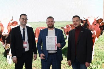 ������� � ������ � �� ����������: ��������, ���������� � ���� ���, ������������ �������� ����� ��������� � ��������� ����� ������������