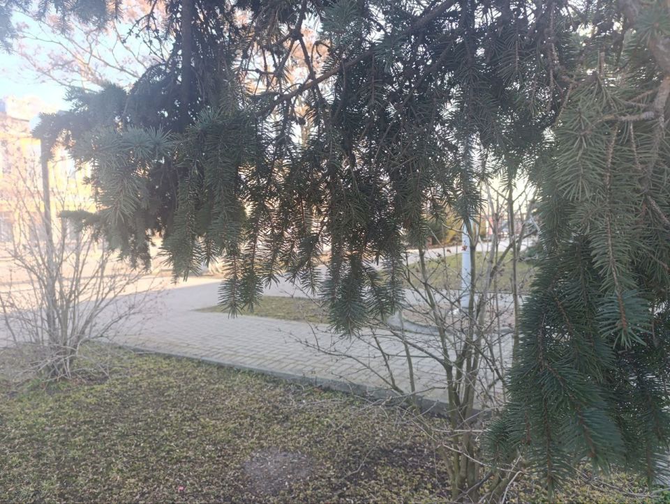 ������ ����, ������ � ����� ����������� ������!