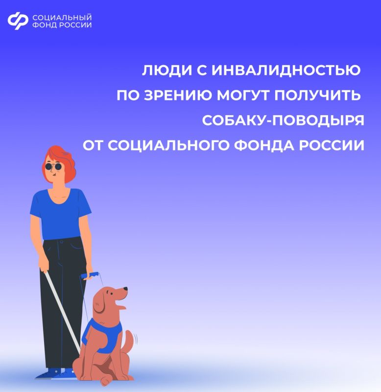 ��� �������� ������-�������� ����� � ���������� �� �������