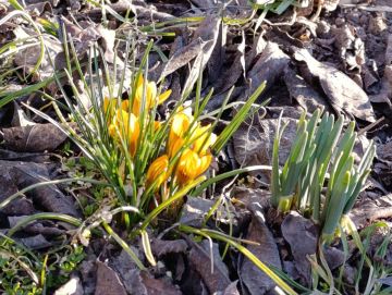 ������ ����!. ������ ������� ������������ ������ ���������� �����