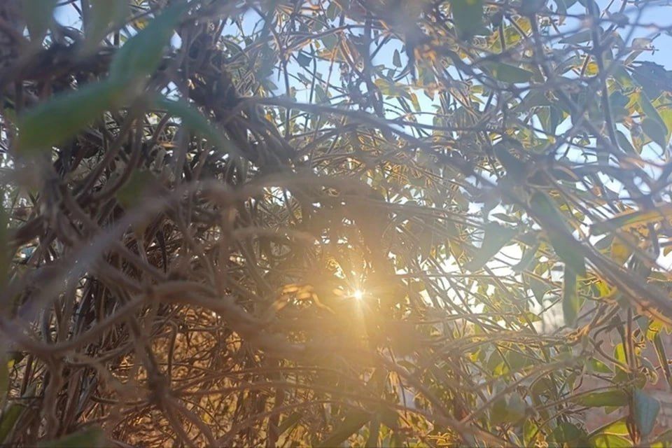 ��������, ��� �������: ����� ����� ������ � ���������� ������� 12 ����� 2026 ����