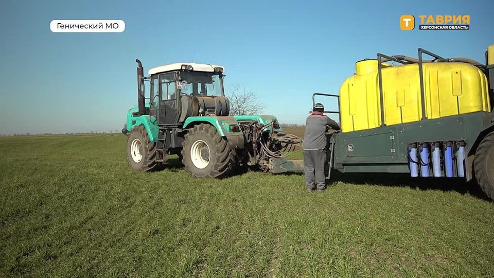 В Херсонской области аграрии приступили к севу ранних яровых и зернобобовых