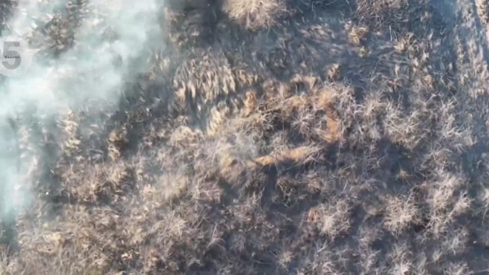 � ������ ����������� ��� �������� ����� �����