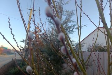 ����� ����� ������ � ���������� ������� 13 ����� 2026 ����