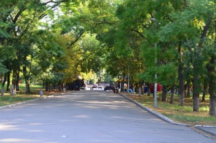 ������ ����, ����������!. ����������� �������