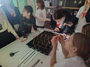 ��������� ������� � ������� �����: ����������� ����������� ������� ����������� ���� ��������