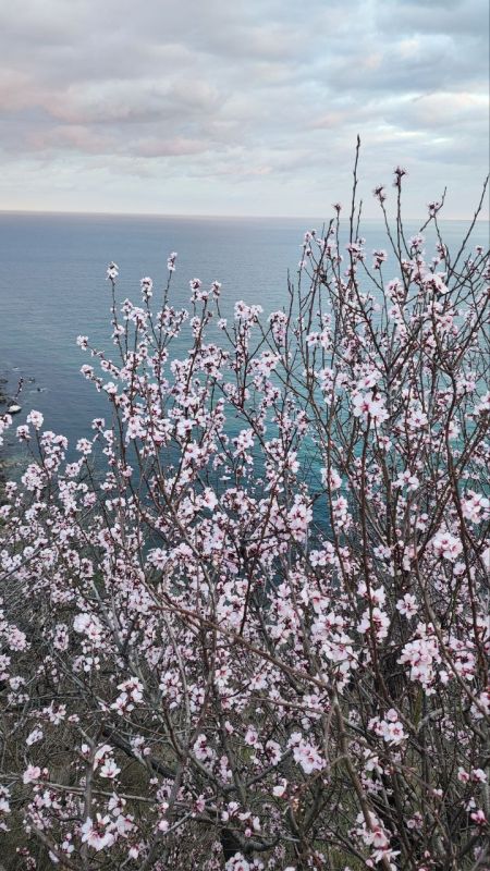 ������ ����, ��������� �����!