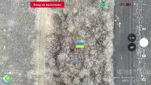 Поймай жёлудь. Телеграм-канал Херсонский Вестник