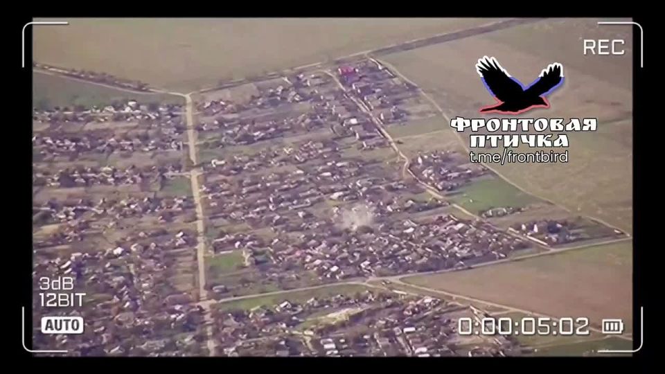 ����������. ���������� �����������