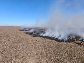 � ��������-���� ������������� �����, ��������� ��-�� ������� ����